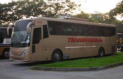 Transnasional Express Bus